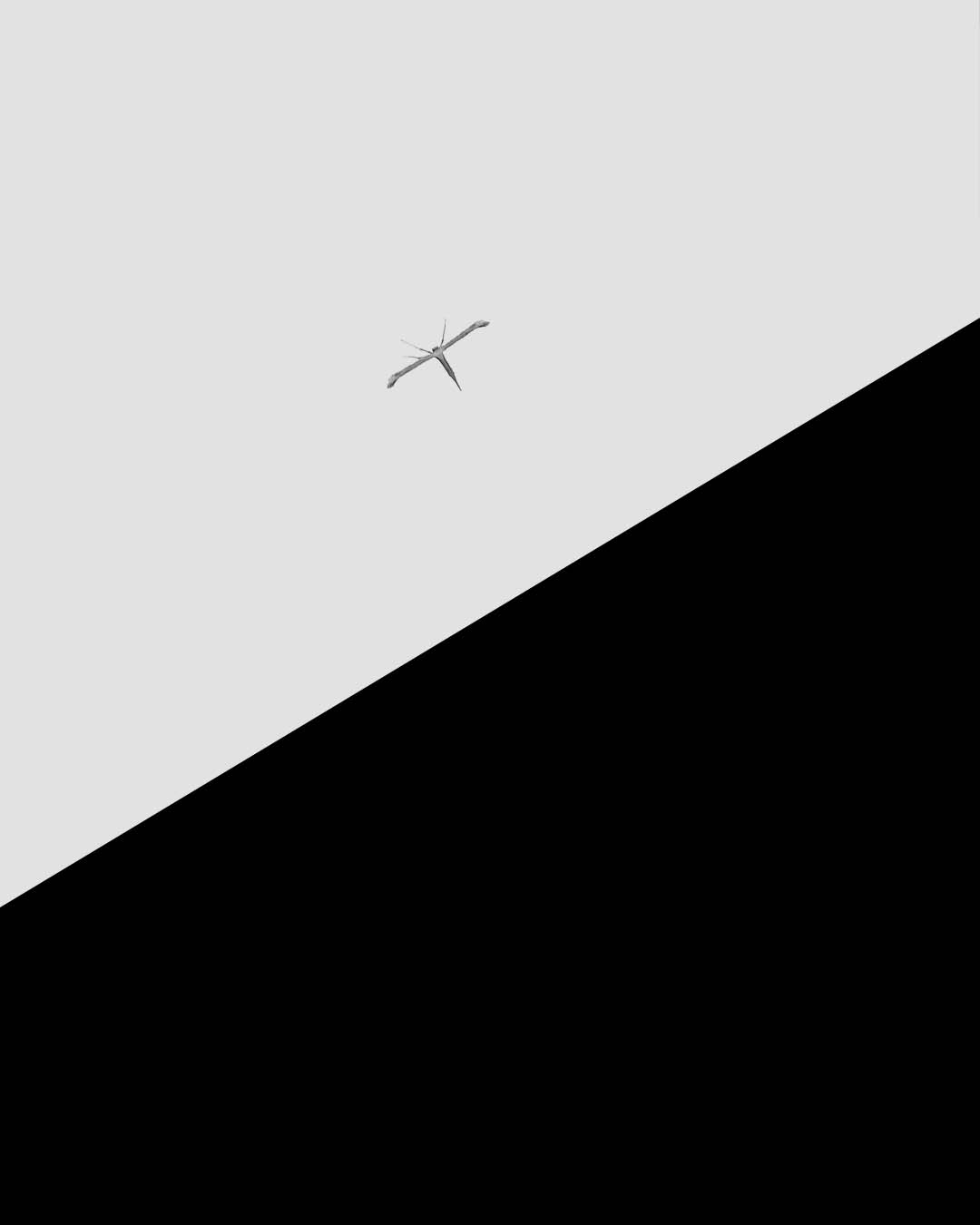 Portfolio image 13