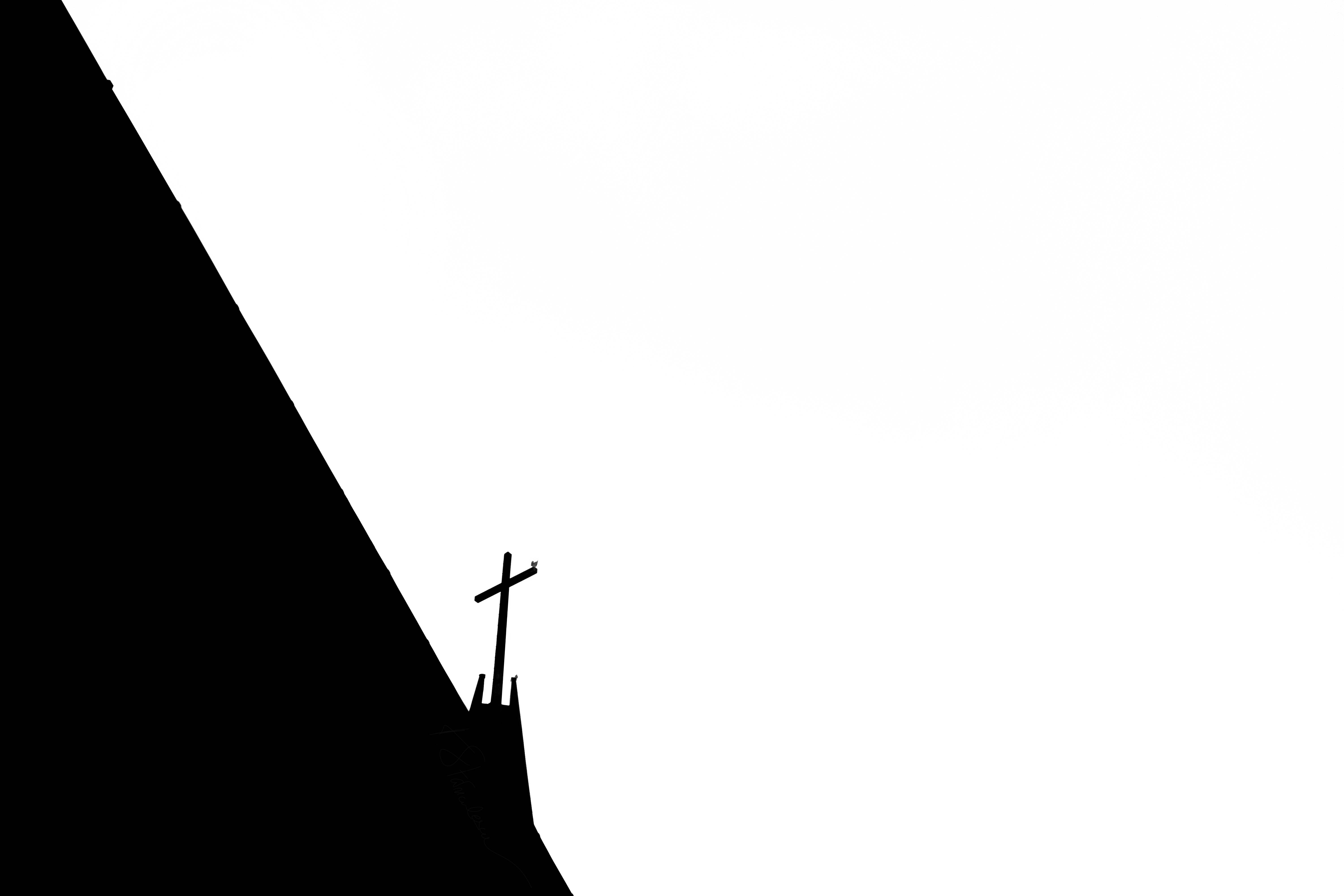 Portfolio image 21