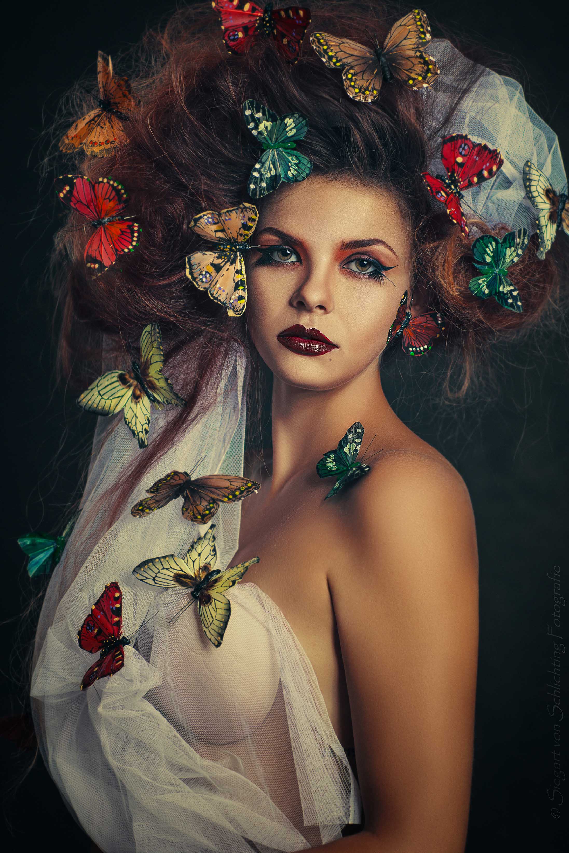Professional portfolio image 1